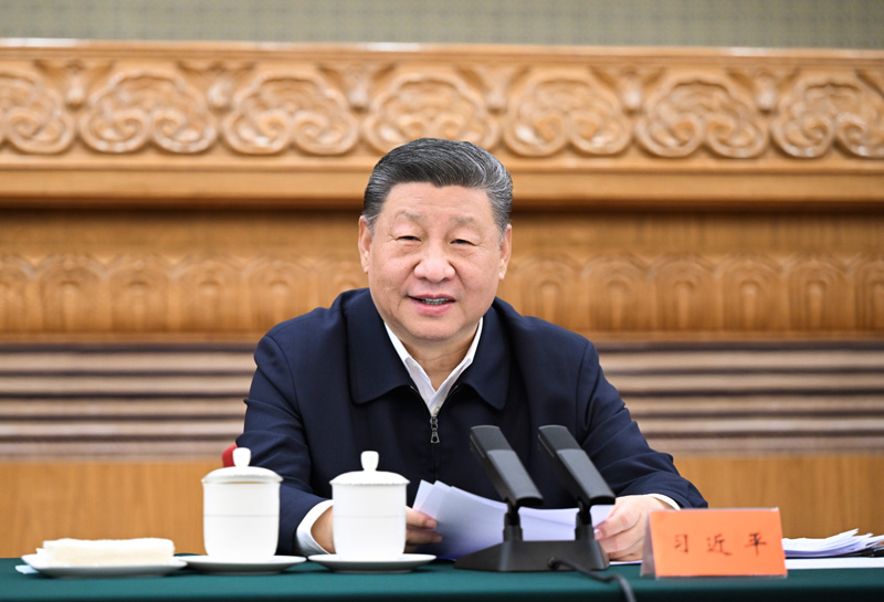 齐齐登场